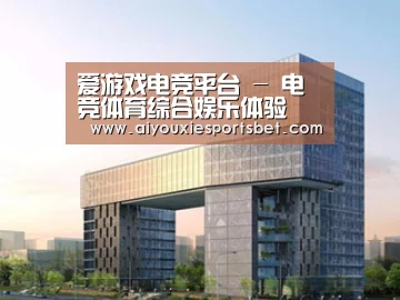 案例展示四